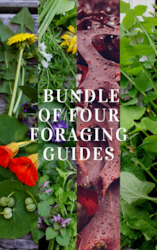 BUNDLE of 4 x Foraging Guides ~ Edible Weeds + Trees