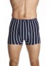 Clothing manufacturing - sleepwear, underwear and infant clothing: Sports stripe trunk