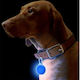 Silicone LED Flashing Night Light for Dogs Puptrek
