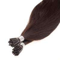 Vitamin product manufacturing: AAA 24inch 1g I Tip Hair Extensions