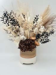 Dried flower: Hazelnut Noir Vase