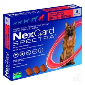 Nexgard Spectra (30-60kg) SINGLE TABLET
