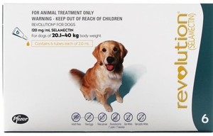 Revolution Large Dog (6 Pack) 20-40kg