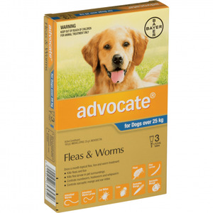 Advocate Dog over 25kg (3 pack)