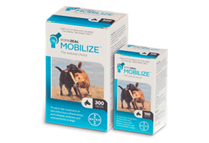 Bomazeal Mobilise (100s)