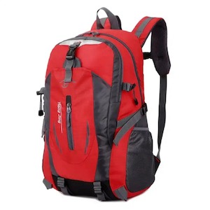Backpack (Red & Black)