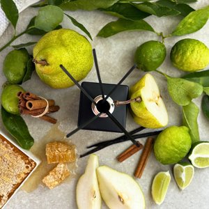 Diffuser: Agave Lime & Anjou Pear Diffuser