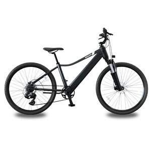 Rover X/Y Electric Bike