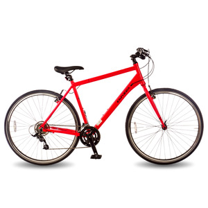 Bikes: Univega Maxima Fit 1.0