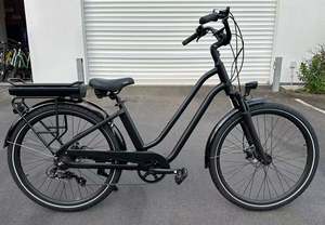 E-Bike(City Electric Assist) Rental