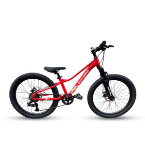 Univega Pallada 24" MTB