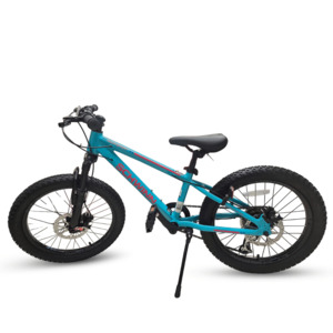 Mountain Bikes: 20" Schwinn Axum Sport Teal MTB
