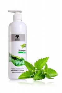 Fresh Mint Shampoo – Able Beauty