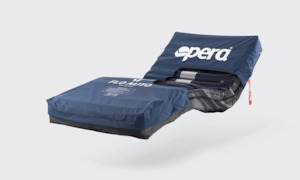 Products: Flo Auto Air Mattress