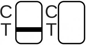 Products: Initial Screening Instructions