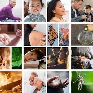 Webinar Recordings x9