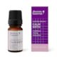 Calm Birth Essential Oil Blend