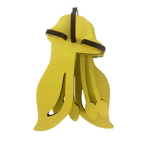 Products: Kowhai Flower Decoration Abstract Design