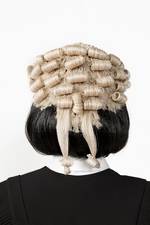 Products: Legal Wig