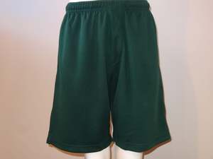 St James Catholic School: St James' PE Shorts