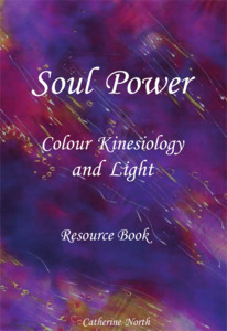 Products: Soul Power Resource Book