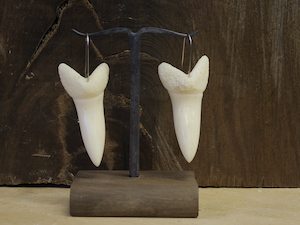 Bone mako shark teeth earrings — A Carved Piece
