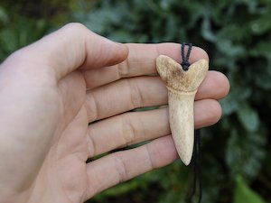 Products: Bone mako shark tooth — A Carved Piece
