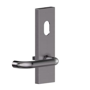 Door Handles - Commercial: Carbine Serens CSF18 Extl Cyl & Lvr Plate SS