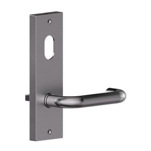 Door Handles - Commercial: Carbine Serens CSF19 Intl Cyl & Lvr Plate SS