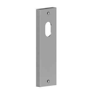 Door Hardware: Carbine Serens CSF19 Intl Cyl Only Plate SS