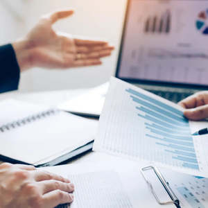 Controllers & CFOs (CPA)