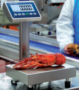 Products: MT BBA238 Bench Top Scale