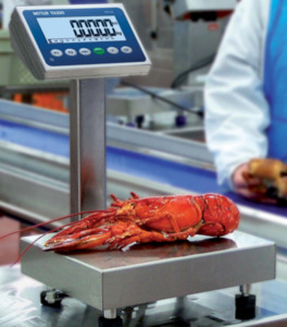 Products: MT BBA238 Bench Top Scale