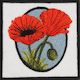 Anzac Poppies