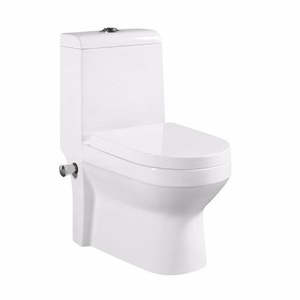 Ceramic One Piece Toilet Bidet, Toilets with Built-in Bidet