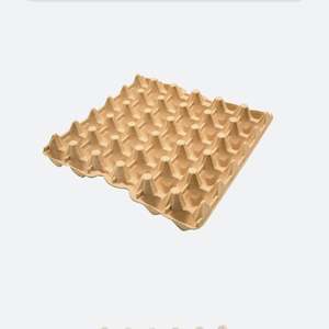 Egg Tray 30cell (80)