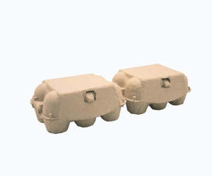 Egg Carton 6 cell (pk170)