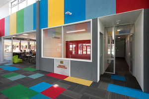 Products: Autex Composition