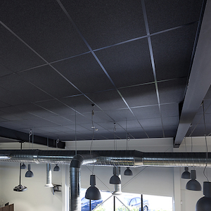 Products: Quietspace Accent Ceiling Tiles