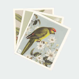 Swedish Dishcloth - 'Birds & Botanical' Set