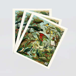 Native Birds Dish Cloths Set