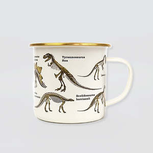 Fun Mugs: Enamel Mug - 'Dinosaurs'