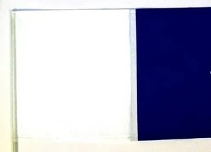 Dive Flag 600mm X 600mm