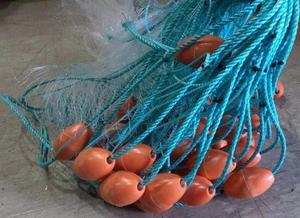 Heavy Duty Snapper Fishing Net 160mm Mesh by Action Fishing Nets for Coastal Ang&hellip;