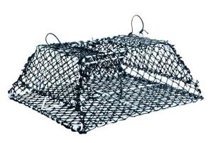 Small Collapsible Cray Pot Bite Fishing NZ Legal Durable Galvanised Compact Fold&hellip;