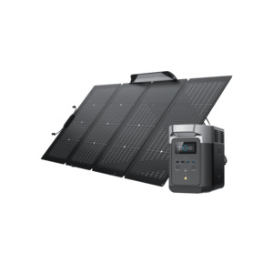 Outdoor: EcoFlow Delta 2 + 160w Lightweight Solar Panel