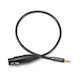 Moon Audio Dragon Cables Black Dragon V2 Adapter