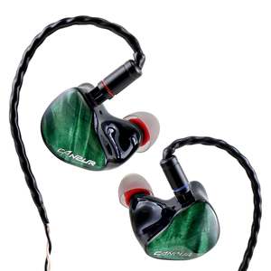 In Ear Headphones: Canpur Joyfull 1&1 In-Ear Monitors