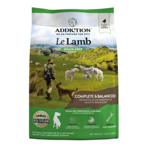 Adult Dogs: Le Lamb