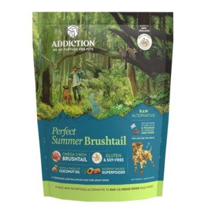Adult Dogs: Perfect Summer Brushtail